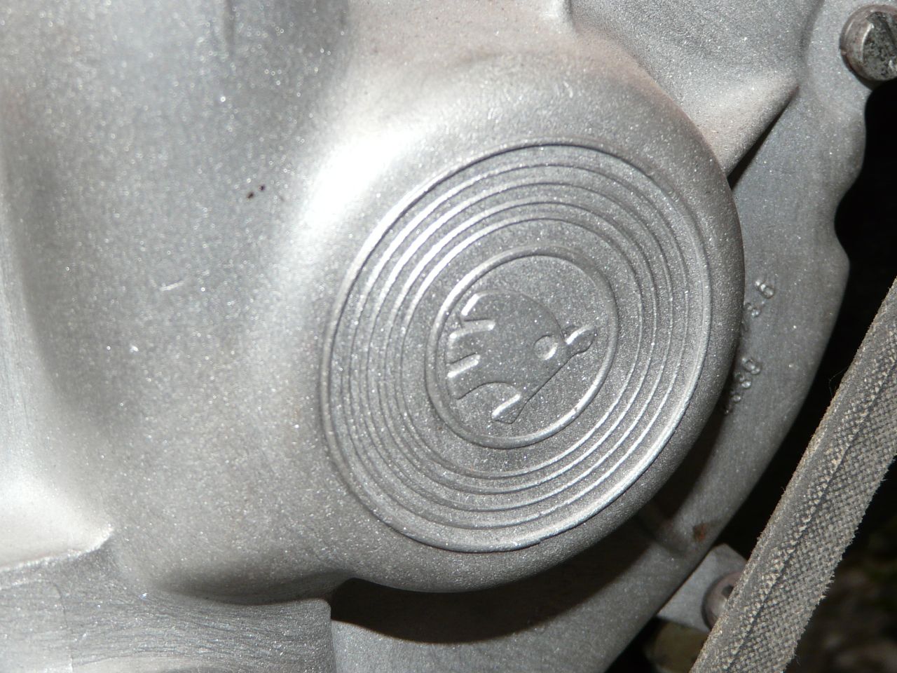 P1090275.JPG